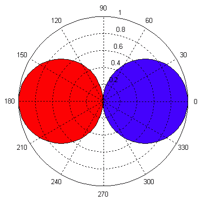 Bidirectional Polarity